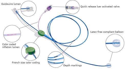 The The Venos™ double lumen occlusion balloon catheter - showing Guidewire lumen, Quick release luer activated valve, Color coded inflation lumen, Latex free compliant balloon, French size color coding, Depth markings