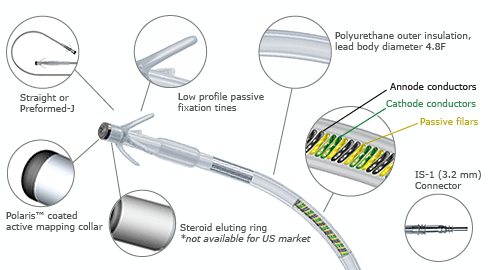 The Petite permanent pacing lead - showing Straight or preformed J, Low profile passive fixation tines, Polyurethane outer insulation lead body diameter 4.8F, Anode conductors cathode conductors passive filars, Polaris coated active mapping collar, Steroid eluting ring not available for US market, IS 1 (3.2mm) connector