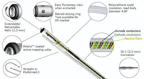 The Physique permanent pacing lead - showing Extendable retractable helix (1.5mm), Easy fluroscopy view when extracted, Steroid eluting ring not available for US market, Polyurethane outer insulation lead body diameter 4.8F, Polaris coated active mapping collar, Anode conductors cathode conductors passive filars, Straight or preformed J, IS 1 (3.2mm) connector