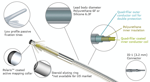 The Refino permanent pacing lead - showing Low profile passive fixation tines, Lead body diameter polyurethane 6F or silicone 6.3F, Quadrifilar coil with coated conductor for double protection, Polyurethane inner insulation, Quadrifilar coated inner conductor coil, Polaris coated active mapping collar, Steroid eluting ring not available for US market, IS 1 (3.2mm) connector