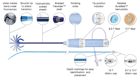 Destino bidirectional steerable guiding sheath for the introduction and placement of diagnostic and therapeutic devices into the human vasculature. Ergonomic steering handle curve, smooth tip to dilator transition, hydrophobic coated and braided sheath, rotating collar, tip position indicator, French size and guidewire indicator, reliable hemostatic seal,