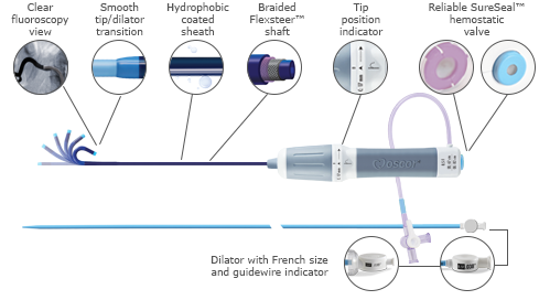 Destino bidirectional steerable guiding sheath for the introduction and placement of diagnostic and therapeutic devices into the human vasculature. Ergonomic steering handle curve, smooth tip to dilator transition, hydrophobic coated and braided sheath, rotating collar, tip position indicator, French size and guidewire indicator, reliable hemostatic seal,